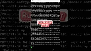 Basic Docker Commands | Beginners | Docker | BashMOD