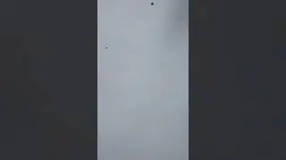 Голуби Казахстана  Самата Шымкент