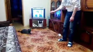 сальто