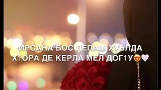 Дала декъал йойл