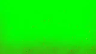 sublime spark | green screen