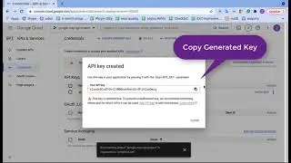 How to create Google Map API - FME ADDONS