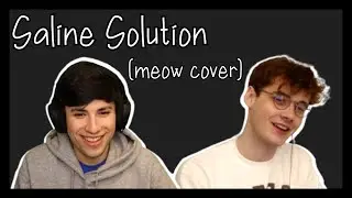 Wilbur Soot & GeorgeNotFound - Saline Solution (Meow Version)