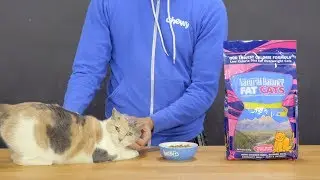 Natural Balance Fat Cats | Chewy