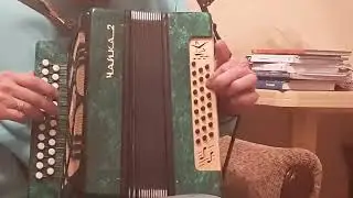 Чайка_2