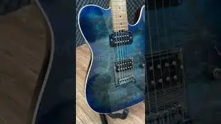 Sqoe Setl-650 HH Roasted Maple in Cobalt Blue Burl