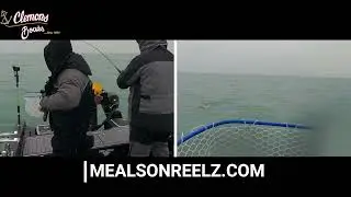 Lake Erie Walleye Net Cam with @mealsonreelzoutdoors3828 !