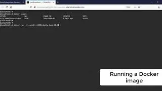 Docker Security : Container Basics : Docker Basics Lab