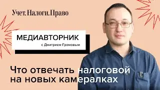 Что отвечать налоговой на новых камералках