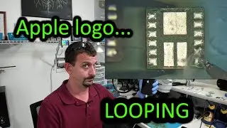 Boot looping iPhone front flex repair (Caused by liquid damage)