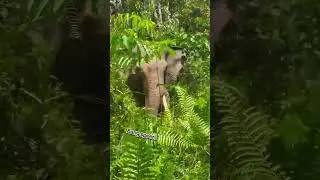 BIKIN KAGET AJA