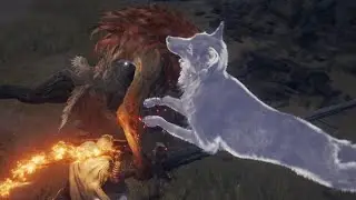 Elden Ring: Leonine Misbegotten Speedrun