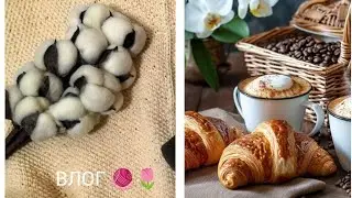 Влог /Справи в'язальні та квітково-житейські🧶🌷