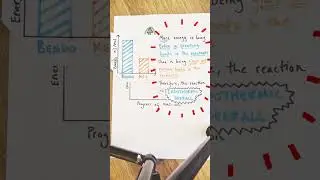 Endothermic Energy Profile Diagrams Explained