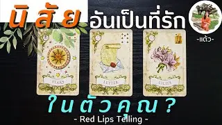 Pick A Card : นิสัยที่ทำให้คุณเป็นที่รักของผู้คนรอบตัว? [ Timeless ]