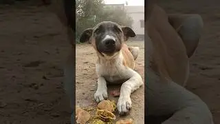 tujh se hi yari hai hamri 