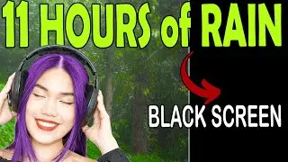 🎧 11 HOURS of Relaxing Forest Rain Sounds w/ Black Screen |Ambient Noise For Sleep & Relaxation