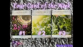 Card Reveal! Discover Your Chakra Healing Message