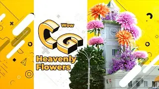 Heavenly flowers / Небесні квіти / Небесные цветы