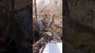 К роднику 16 марта 24г
