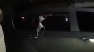 VIRAL SKANDAL MOBIL BERGOYANG.. 