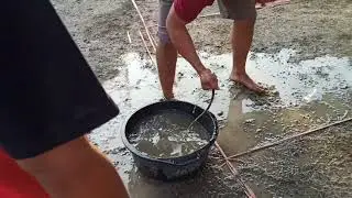 lomba 17 agustus - tangkap belut final