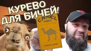 Самый редкий Кемел в мире!
