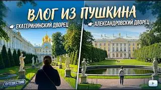 уютный влог из Пушкина