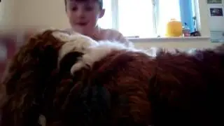 Wwe wrestling with my dog
