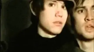 PANIC! AT THE DISCO: Pluma Gay