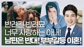 반려동물 양육갈등 이혼사유 될까요? 성격차이 이혼!