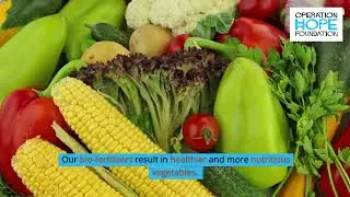 Convert organic waste into fertiliser