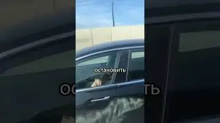 Водитель теслы уснул во время движения!