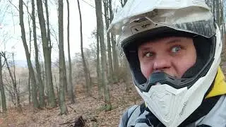 хто куди, а я в ліс