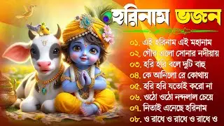 Horinam Bangla Gaan | Hare Krishna Kirton Song | হরিনামের হিট গান | Bengali KIrton Song 2024
