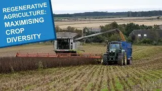 Regenerative Agriculture – Maximising Crop Diversity