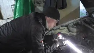 Последствия перегрева калины