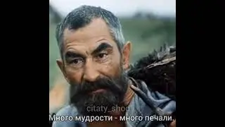 мудрые слова