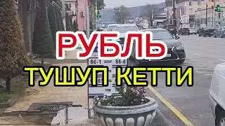 7 ноября 2024 г.