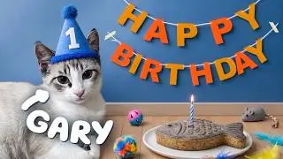 Spoiling My Cat for His First Birthday
