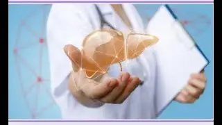 How Your Liver ACTUALLY Works (and Why it Matters)