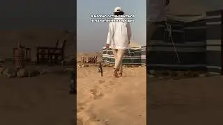 Восторг: это было одним из самых ярких впечатлений от поездки в Оман 