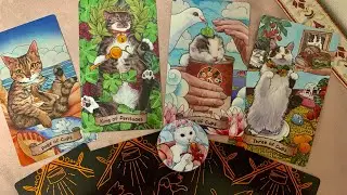 Новинка от Tevada !😻😸Распаковка и обзор колоды «Save Cats Tarot»😻Совершенно умилительные котики!