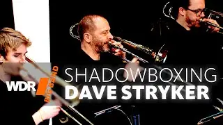 Dave Stryker & WDR BIG BAND - Shadowboxing