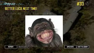PUBG kills 2