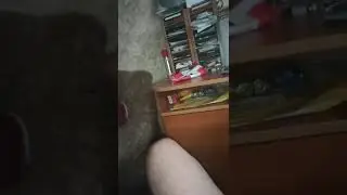 Приколы.Юмор. Как разговаривает пёс Рей.  