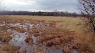 Wierdense Veld