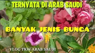 VLOG TKW ARAB// INTIP KEBUN DALAM RUMAH MAJIKAN | taman bunga