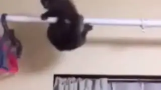 Когда удачи нет 🤣