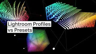 Lightroom Profiles vs Presets